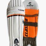 Batting-Leg-Guards