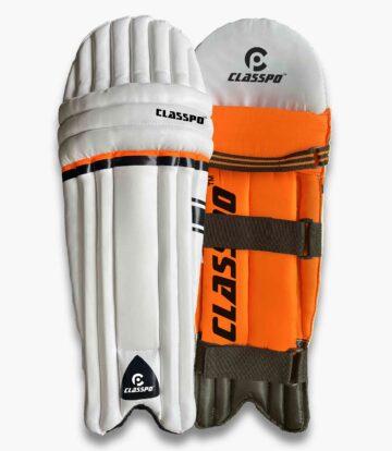 Batting-Leg-Guards