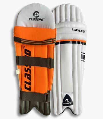 Batting-Leg-Guards