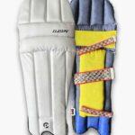 Batting-Leg-Guards