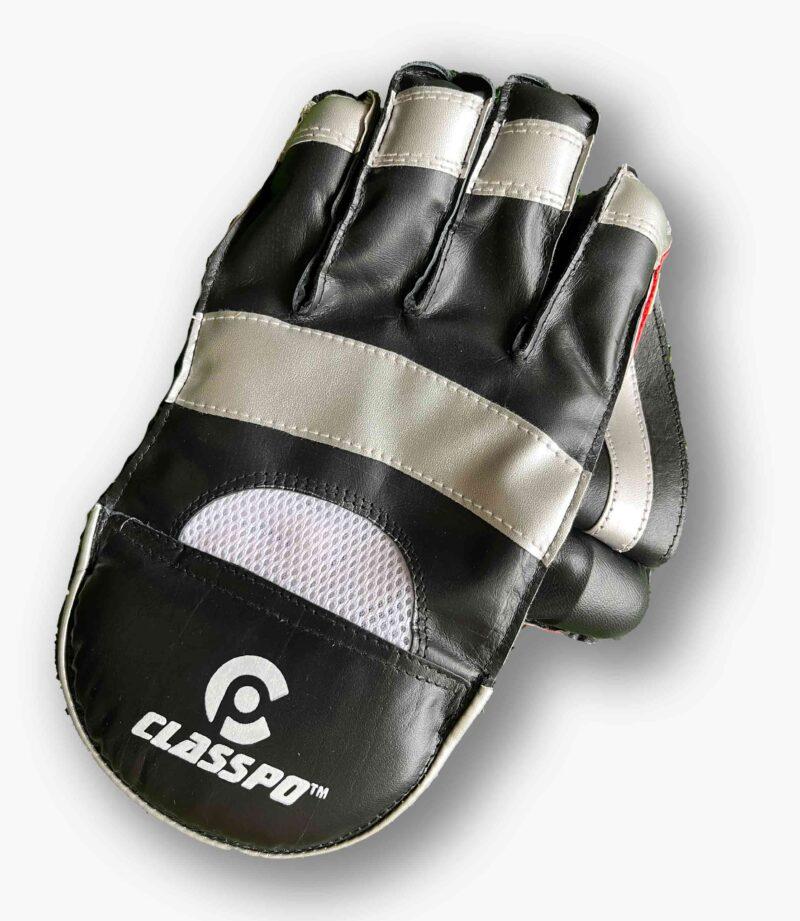 Wicket Keeping-Gloves-Leather