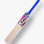 indian cricket bat manufacturers