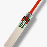 kashmir willow bat manufacturer