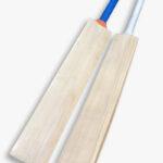 english willow cricket bat manufacturers in india